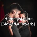 Koushik Mahata - Humnava mere