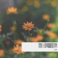 她小姨 - 梦一场