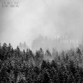 Forecast Tomorrow - Yowies