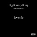 Juvenile (Explicit)