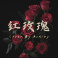 爱吃水饺Ashley - 言不由衷