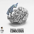 Conscious (Explicit)