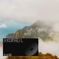 张启靓 - 火红的花儿