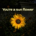 You're a sun flower (Explicit)