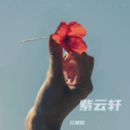 红蜻蜓 - 问天
