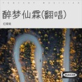 红蜻蜓 - 留不住斜阳 (红蜻蜓 remix)