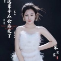 宋宝宝 - 这辈子不会再爱了
