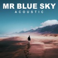 Mr Blue Sky (Acoustic)