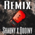 Quoiny、Hulvey、Shauny - Can't Tell It All (feat. Hulvey & Shauny)(Remix by Quoiny, Shauny)