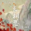 流萤 - 长相思
