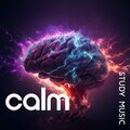 Calm Study Music (Sounds to Help You Memorize, Concentration and Focus Boost, Background for Learning)