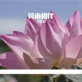 王佳莉 - 天籁之音