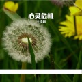 王佳莉 - 明镜