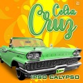 Ipso Calypso