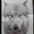Swaffy、Qualify、Zuno - A Wolf's Paradise