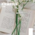 王佳莉 - 正在放的风筝
