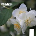 王佳莉 - 神奇