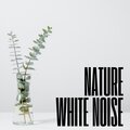 Natural White Noise