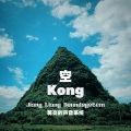 空 KONG