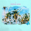 Voxl - Sunset Party