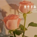 王佳莉 - 十七岁