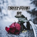 为爱受了罪 (伤感版)