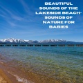 Baby Beethoven、Natural Sounds Selections、Zen Sounds - Lake's Symphony