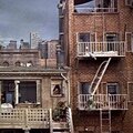 J3llybr34d - Tulips 54 (Explicit)