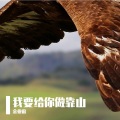 金亚雷 - 每天高温38我不敢待在家