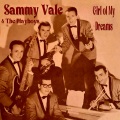 the playboys、Sammy Vale - Please Forgive Me