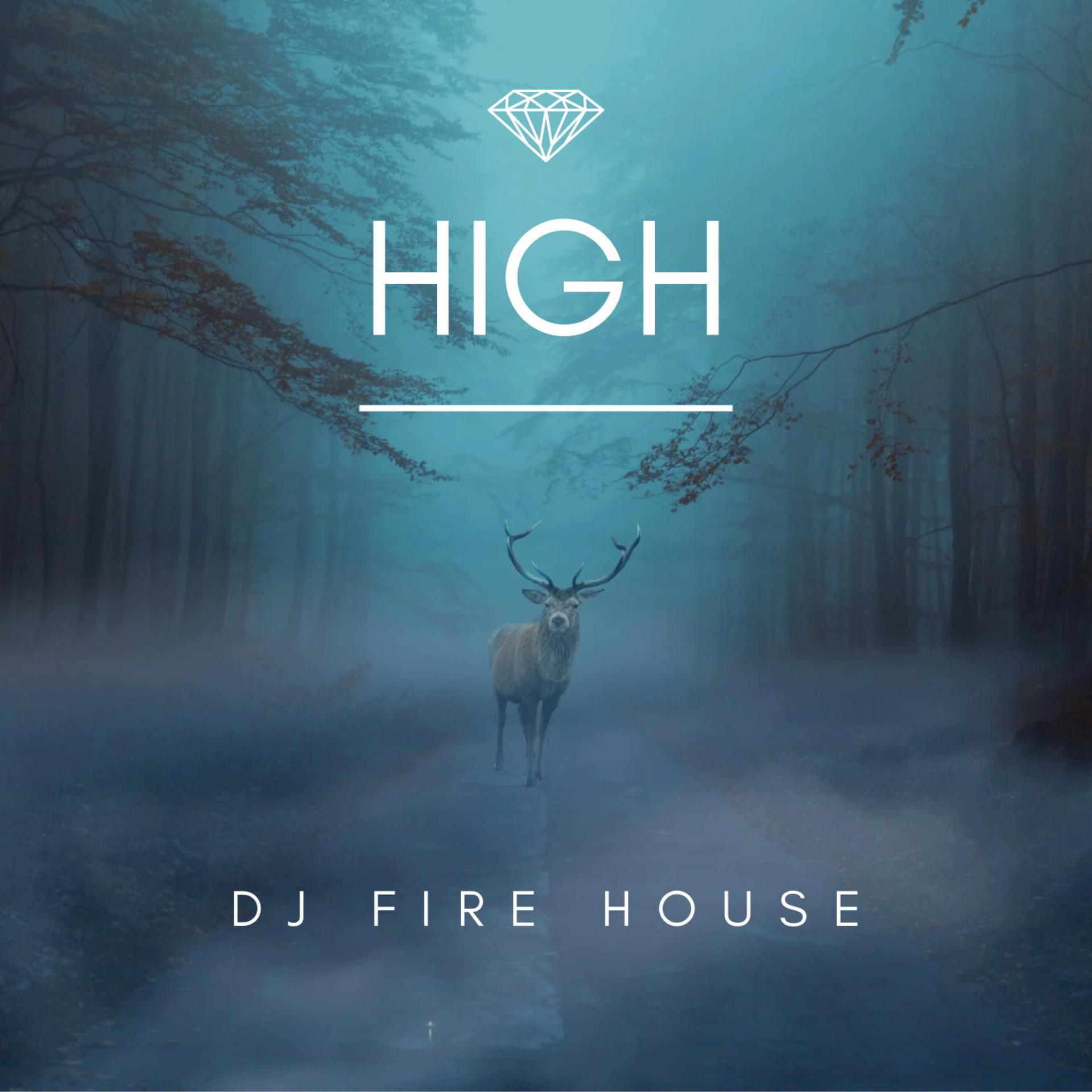 DJ Fire House - High