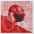 SELF-DISTRUCT-ON