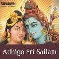S. P. Balasubrahmanyam - Dum Dum Dhamaru Dwani
