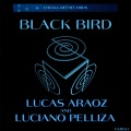 Black Bird