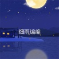 细雨编编 (DJ版)