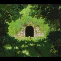 柊樹 - いつも何度でも