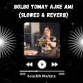 Bolbo Tomay Ajke Ami (Slowed & Reverb)