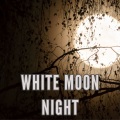 White moon night
