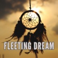 Fleeting dream