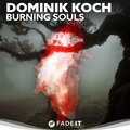 Dominik Koch - Nothing Left to Lose