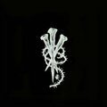 Z1n、Dyl - d1 pitcher outro (feat. codex & dyl&n)(Explicit)