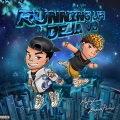 Running Up! Deja Vu (feat. Bohan Phoenix)(Explicit)