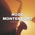 hugo montenegro - Song Of India