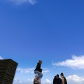 Fred again..、Obongjayar - adore u