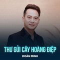 Đoàn Minh、Ngô Trần Nguyễn - Thư Gửi Cây Hoàng Điệp