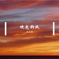 金亚雷 - 风殇