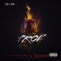 CH、MS - Prof