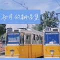 初月 - 说爱你