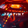 Destiny (Remix)