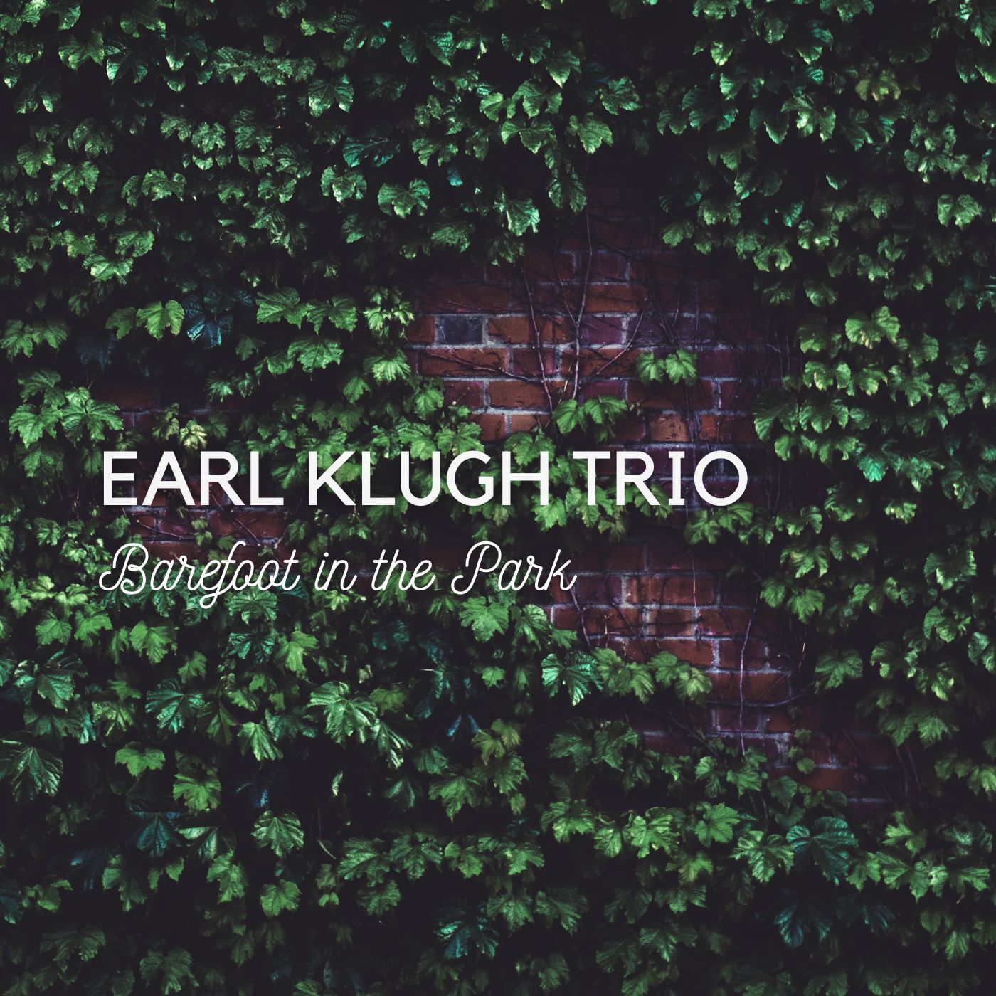 earl klugh trio - Barefoot In The Park